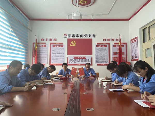 6月19日下午，尿素車間黨支部與法律審計(jì)部黨支部開(kāi)展結(jié)對(duì)共建活動(dòng)2.jpg