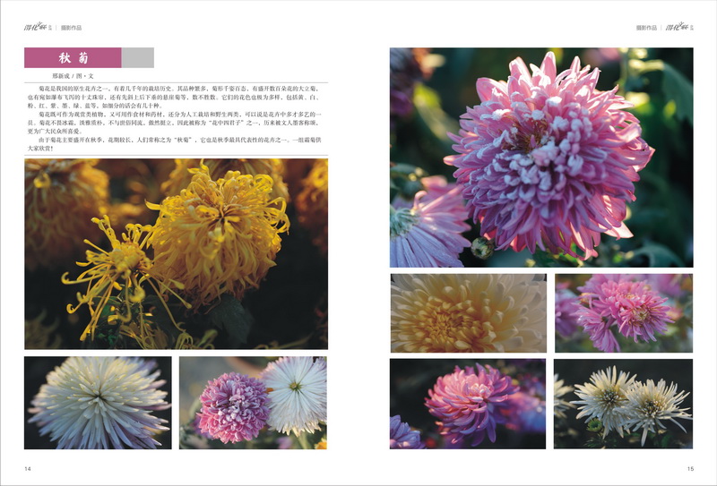 1696996979357367.jpeg 8_resize.jpg