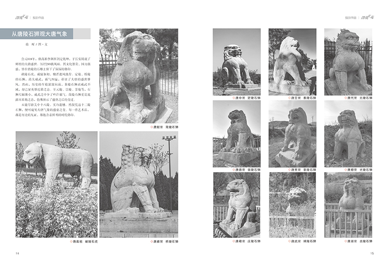 1720507547743231.jpeg 10.jpg